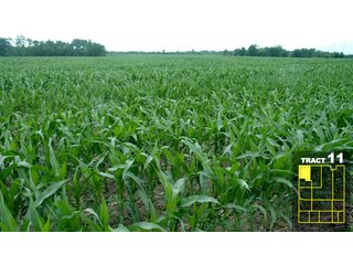 Property photo 59 - Land Auction 1035 Acres In 16 tracts - Farm Land - Sullivan Co. Indiana & Clark Co., Illinois